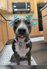 Load image into Gallery viewer, 🌼 Pink &amp; Blue Glow Daisies 🌼 Silicone Bead Collar