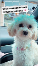 Load image into Gallery viewer, Rainbow Flowers MINI Acrylic [Small Dog/Cat Bead Collar]