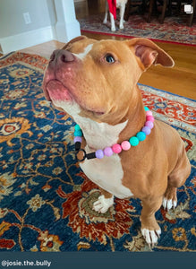 Bubblegum Acrylic Bead Collar