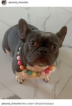 Load image into Gallery viewer, Rainbow Sherbet Bead Collar