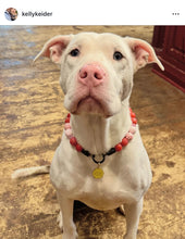 Load image into Gallery viewer, Valentine Crush Bead Collar