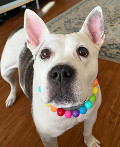 Rainbow 🌈 Acrylic Bead Collar