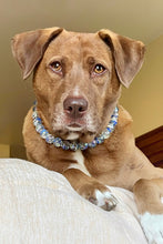 Load image into Gallery viewer, Blue Twist Glow Bead Collar