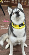 Load image into Gallery viewer, Yellow Flash Acrylic Bead Collar [Scuffed]