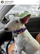 Load image into Gallery viewer, Witching Hour Halloween Bead Collar