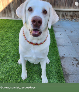 Cherry Almond Wooden Bead Collar