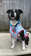 Load image into Gallery viewer, Blue Ombre Silicone Bead Collar