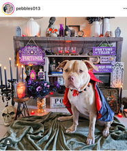 Load image into Gallery viewer, PERSONALIZED Pumpkin Spice Halloween Bead Collar
