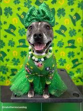 Load image into Gallery viewer, Luck of the Irish Bead Collar