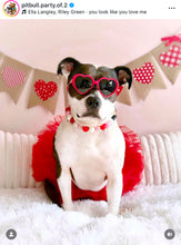 Load image into Gallery viewer, Be My Valentine Bead Collar