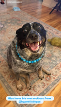 Load image into Gallery viewer, Polar Blue Acrylic Bead Collar
