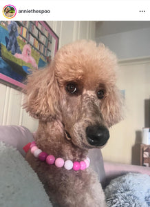 Pink Ombre Acrylic Bead Collar