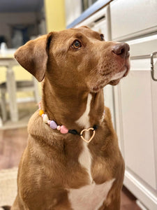 Fruit Punch Hearts Bead Collar