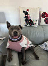 Load image into Gallery viewer, Bubblegum Tie Dye Acrylic Bead Collar