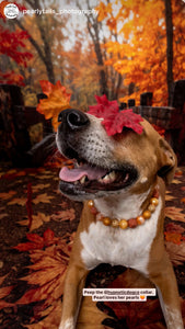 Autumn Leaves 🍂 Bead Collar