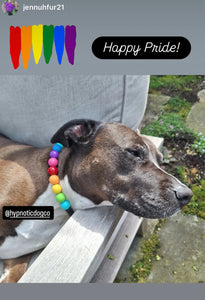 Rainbow 🌈 Acrylic Bead Collar