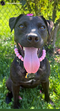 Load image into Gallery viewer, Pink Waves Resin Bead Collar