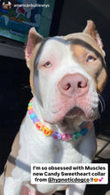 Load image into Gallery viewer, PERSONALIZED Candy Sweetheart Bead Collar