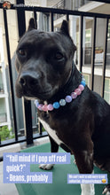 Load image into Gallery viewer, Sugar Sky Acrylic Bead Collar
