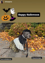 Load image into Gallery viewer, Duplo Mini White Pearl Acrylic Bead Collar