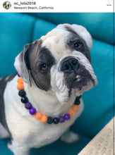 Load image into Gallery viewer, Witching Hour Halloween Bead Collar