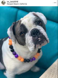 Witching Hour Halloween Bead Collar