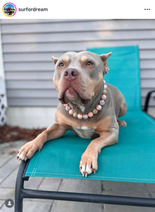 Rose Gold Champagne Bead Collar