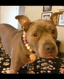 Pink Gradient Glitz Bead Collar