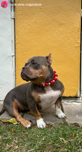 Load image into Gallery viewer, Jumbo Santa Baby Bead Collar