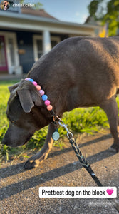 Pink Dusk Acrylic Bead Collar