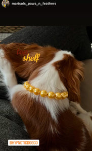 Mini Golden Yellow Pearl [Small Dog/Cat Bead Collar]