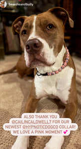 Cotton Candy Clouds Ceramic Bead Collar