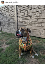 Load image into Gallery viewer, Velvet Autumn Bead Collar