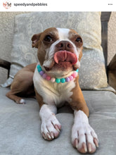 Load image into Gallery viewer, Bubblegum MINI Acrylic [Small Dog/Cat Bead Collar]