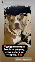 Load image into Gallery viewer, Chunky White Pearls Acrylic Bead Collar
