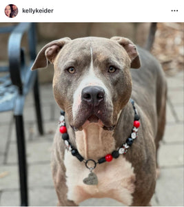 Friday the 13th Bead Collar