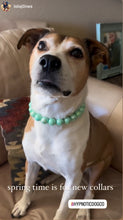 Load image into Gallery viewer, Minty Sage Acrylic Bead Collar - SALE