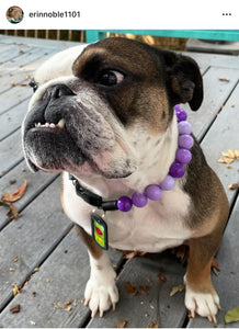 Purple Ombre Acrylic Bead Collar