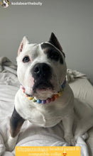 Load image into Gallery viewer, Pastel Rainbow Acrylic Bead Collar