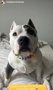 Pastel Rainbow Acrylic Bead Collar