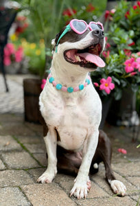 Bubblegum Waves Coin Bead Collar