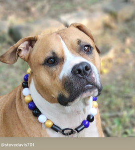 🏈 Football Team Colors Bead Collar