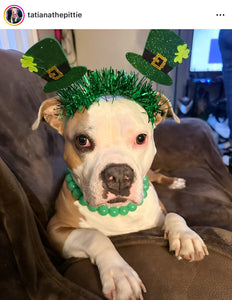 Kelly Green Glow in the Dark Acrylic Bead Collar