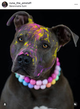 Load image into Gallery viewer, Pink Ombre Acrylic Bead Collar