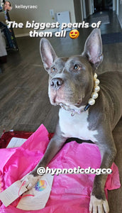 Chunky White Pearls Acrylic Bead Collar