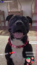 Load image into Gallery viewer, Strawberry Shortcake Bead Collar
