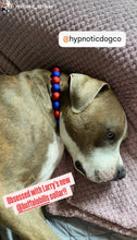 Load image into Gallery viewer, Buffalo Bills NFL Inspired 🏈 Bead Collar