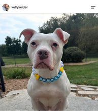 Load image into Gallery viewer, PERSONALIZED Rubber Duck Bead Collar