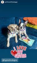 Load image into Gallery viewer, Americana Glam MINI [Small Dog/Cat Bead Collar]