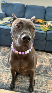 Purple Daisies Glam 🌼 Silicone Bead Collar